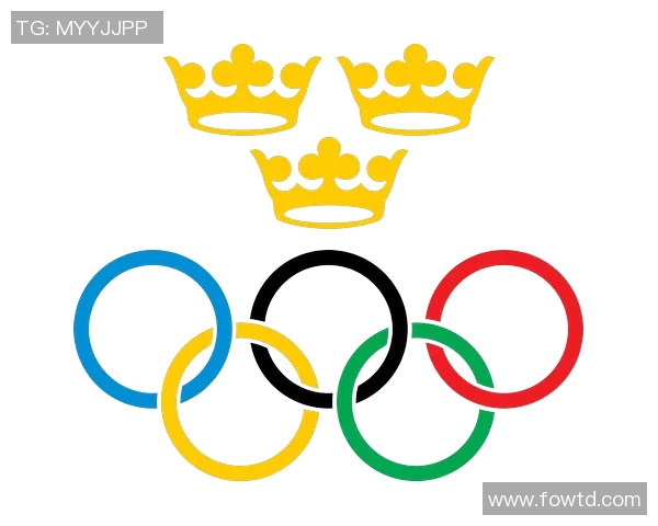 瑞典国家足球队的辉煌历程与未来展望解析