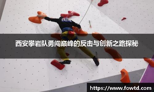 3377体育
