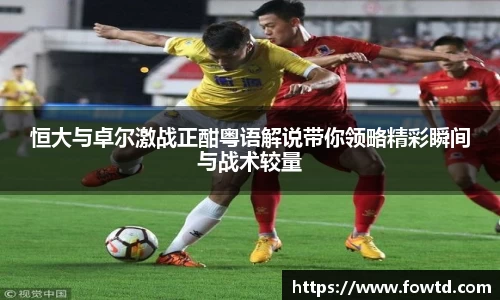 3377体育官网