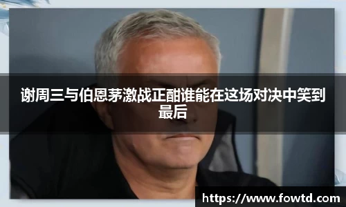 3377体育官网