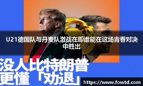 3377体育