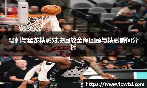 3377体育官网