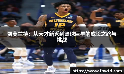 3377体育官网