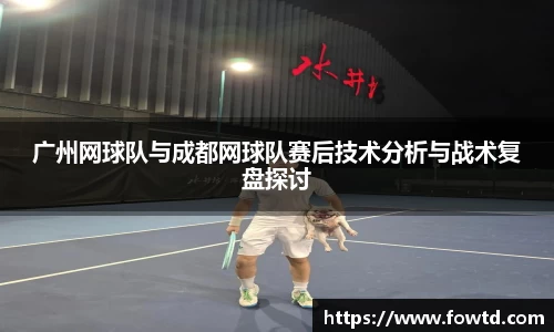 3377体育