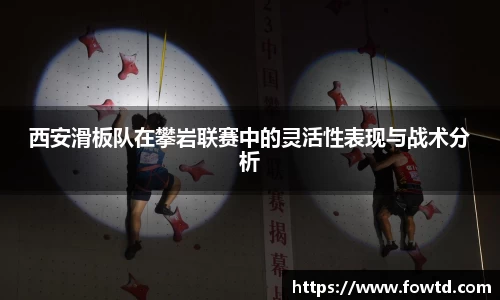3377体育官网